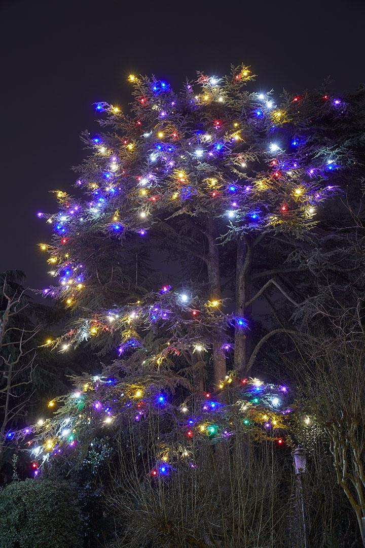 catena luminosa per albero
