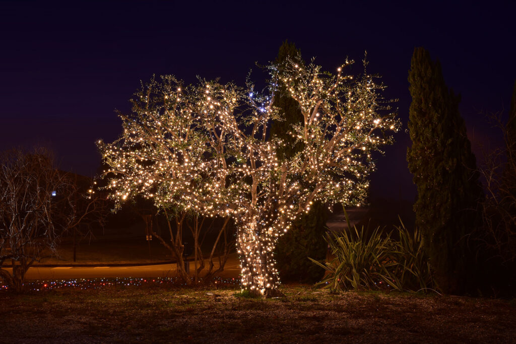catena di luci led per illuminazione albero