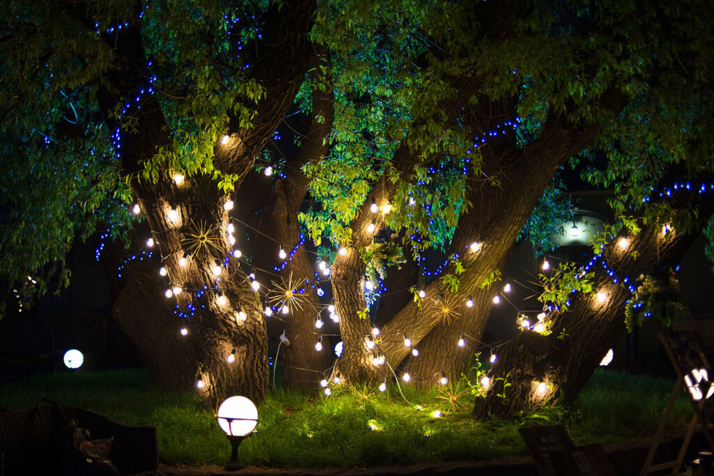 decorazione luminosa per giardino